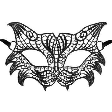 Black embroidered lace mask