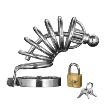 Asylum - 6 Ring Chasity Cage