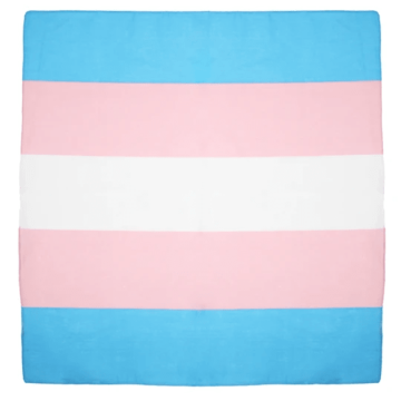 Multi Color Trans Bandanas