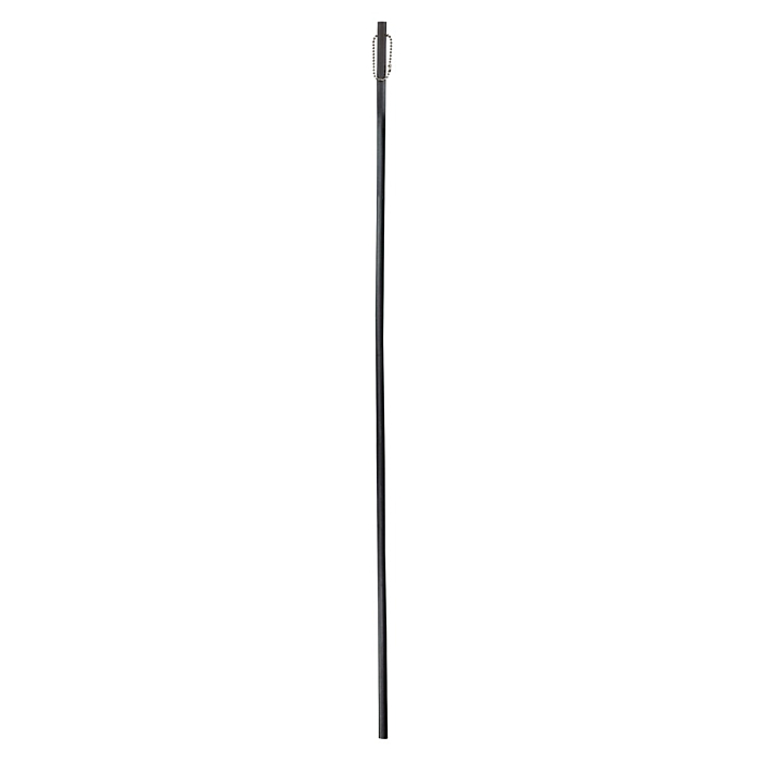 Cane Cane