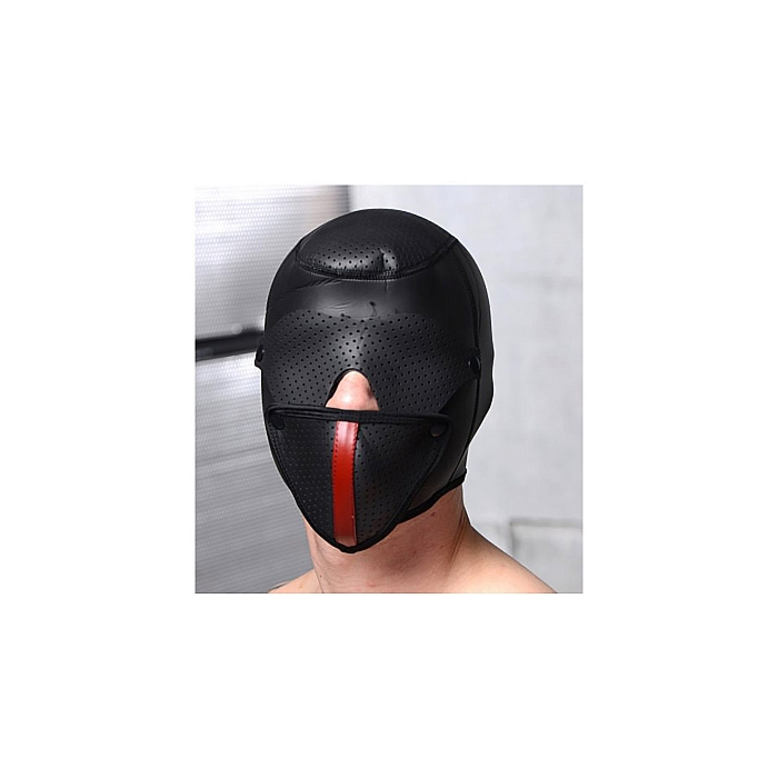 Scorpion Hood With Removable Blindfold
