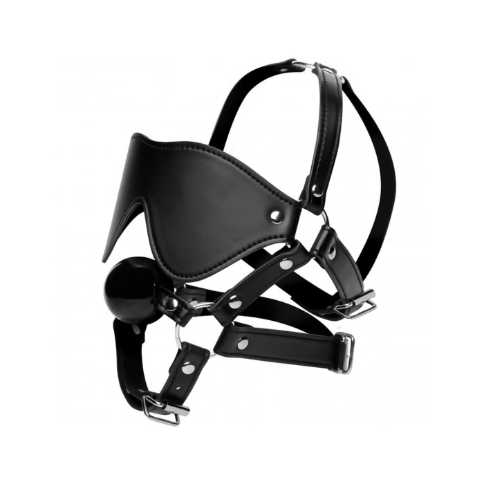 Blindfold Harness and Ball Gag